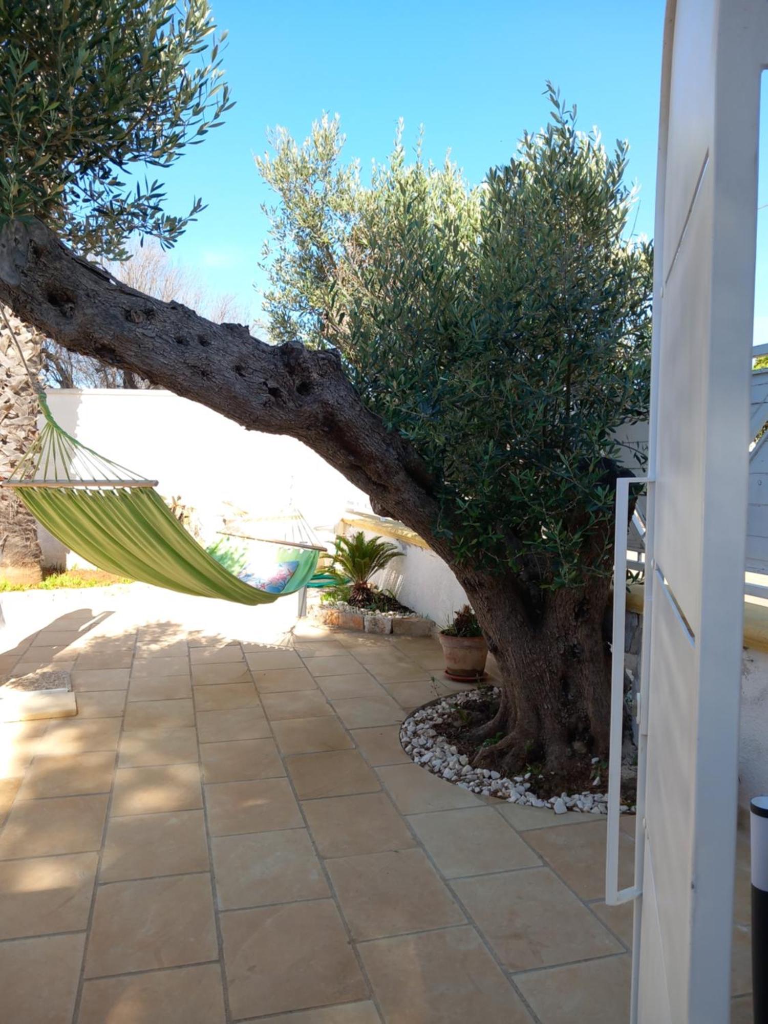 Alessandro House Porto Cesareo Exterior foto